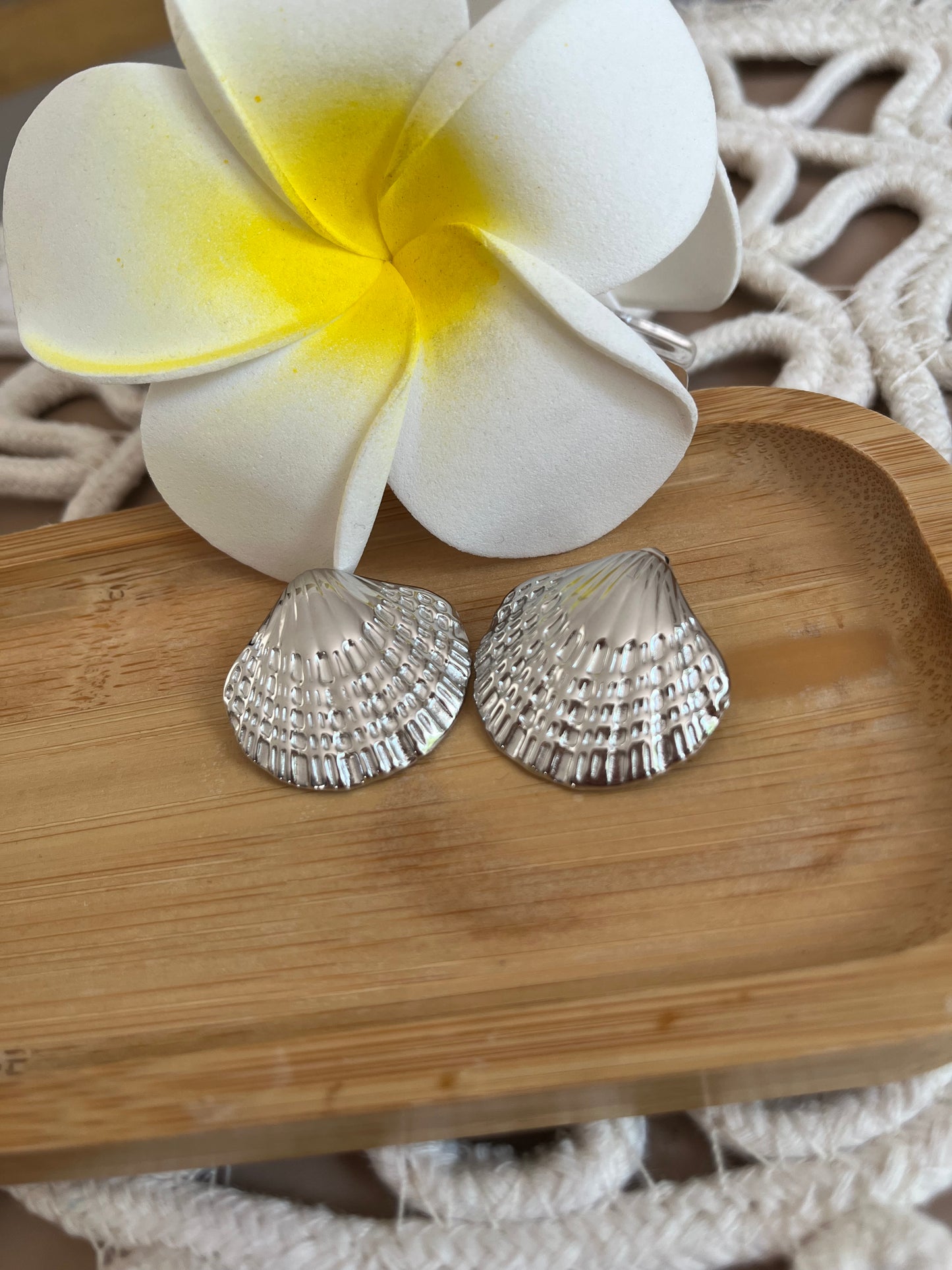 Coquille Magique